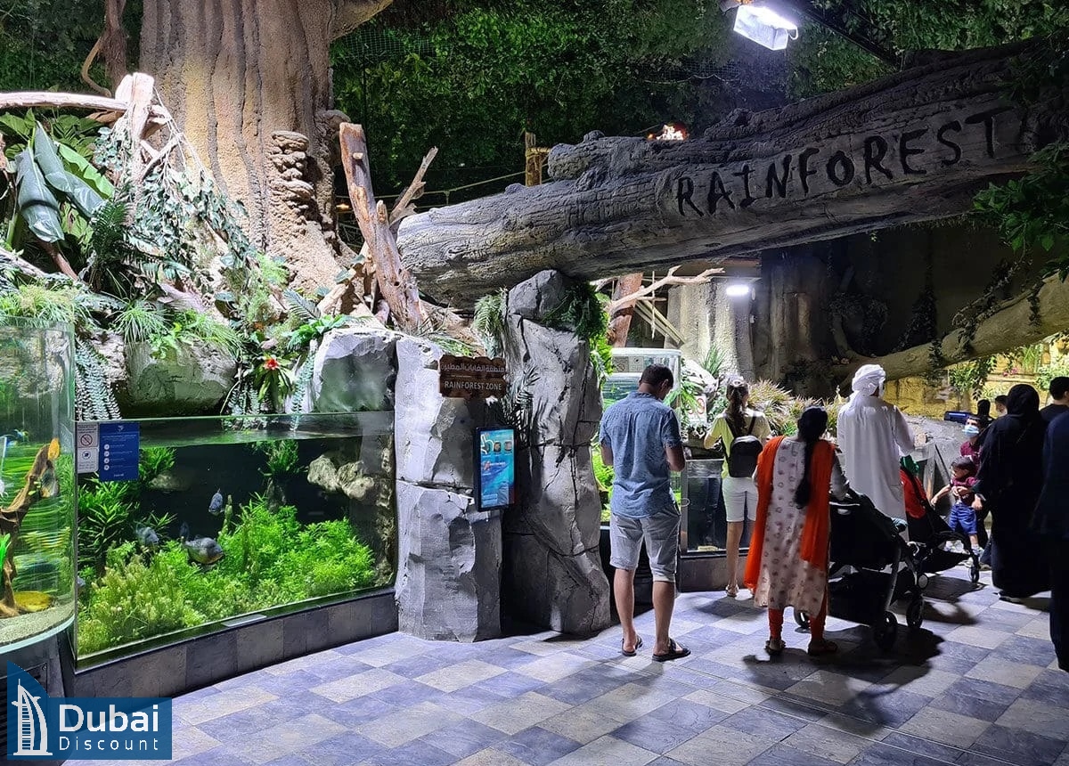 باغ وحش زیر آب دبی-3