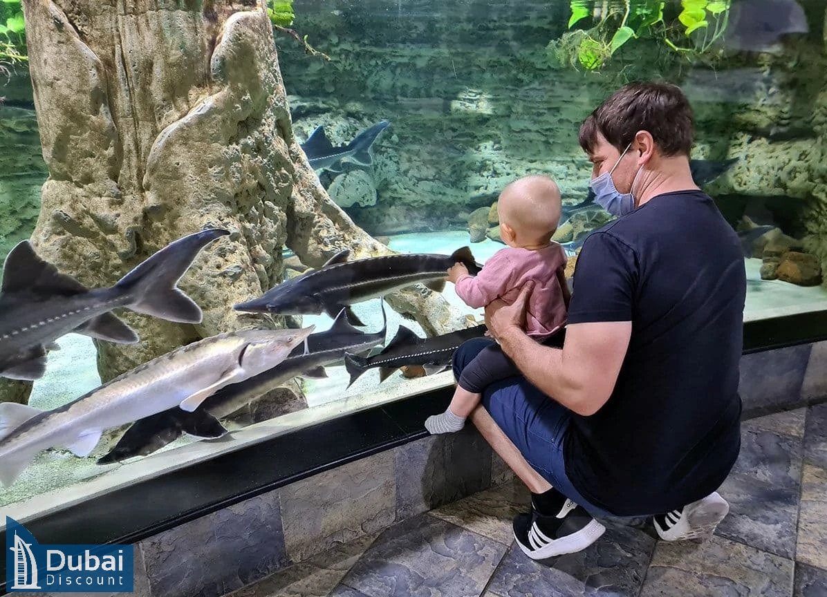 باغ وحش زیر آب دبی-2