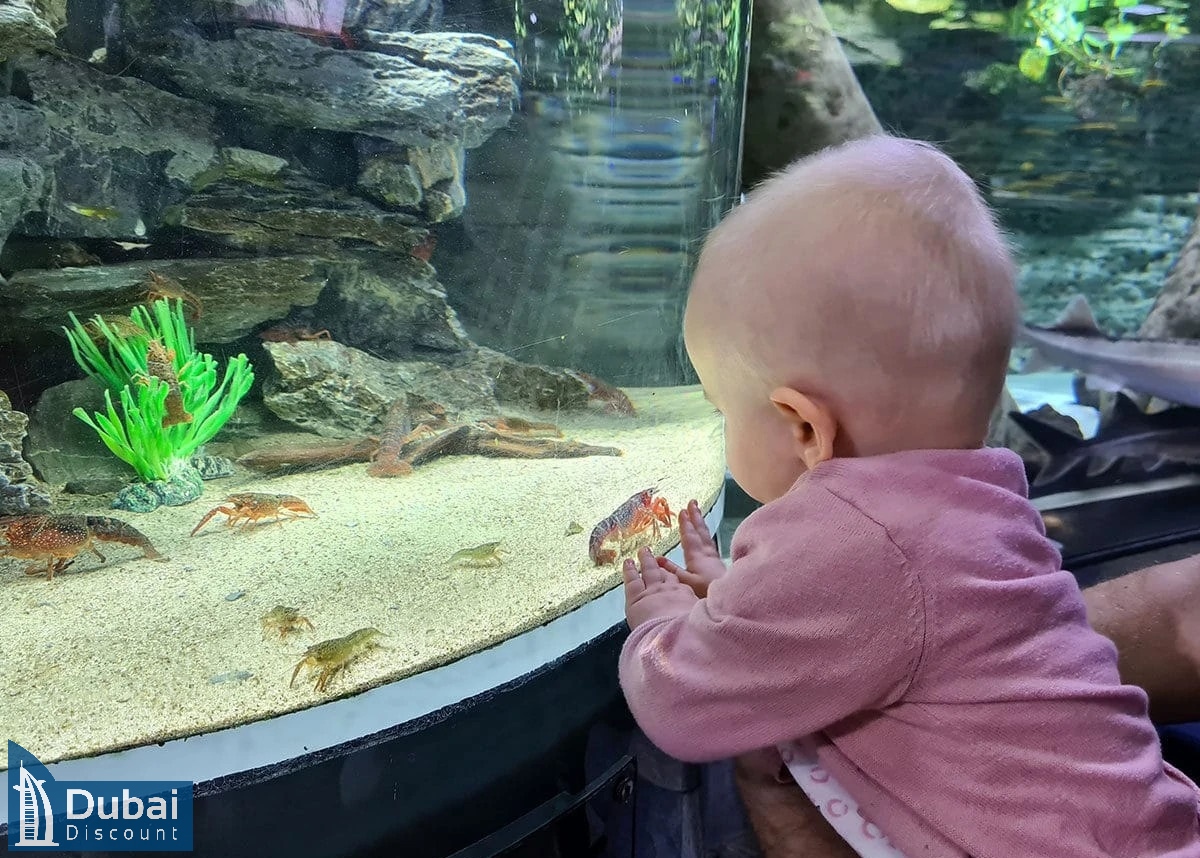 باغ وحش زیر آب دبی-1