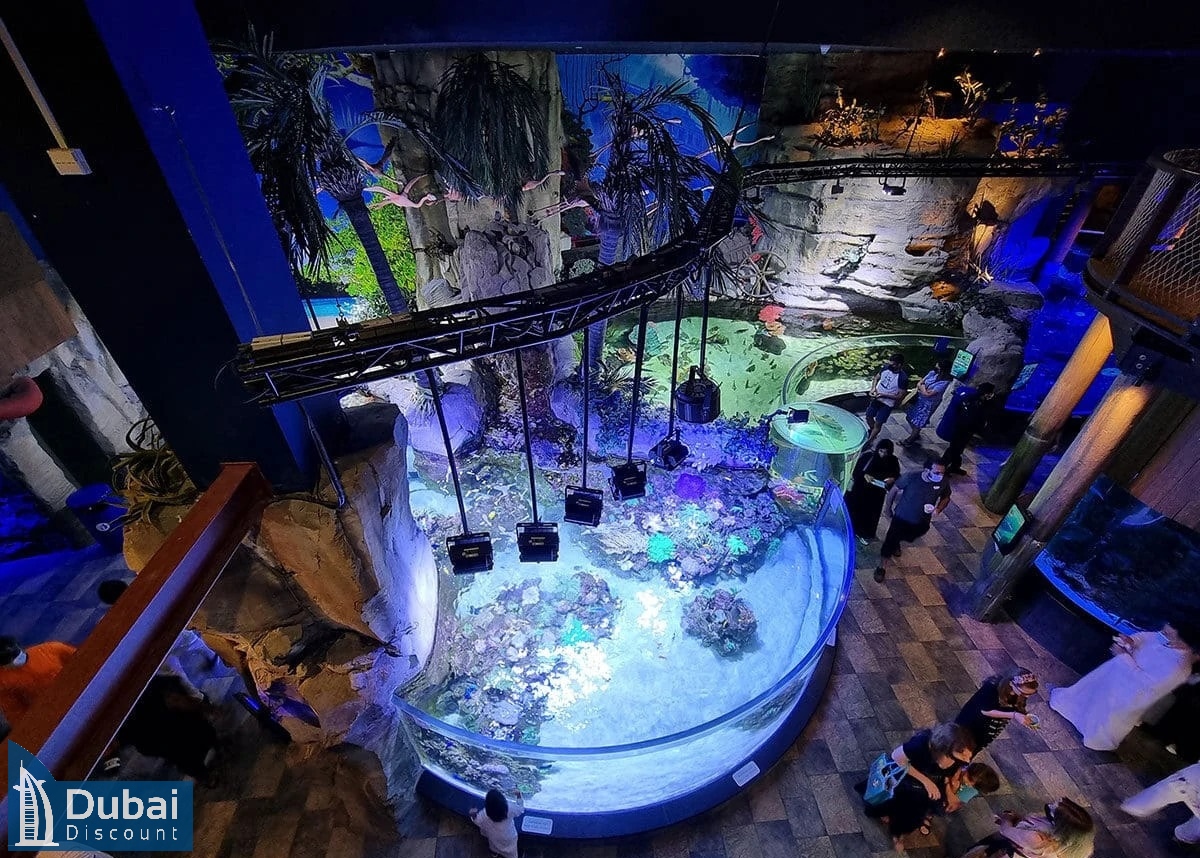 باغ وحش زیر آب دبی-7
