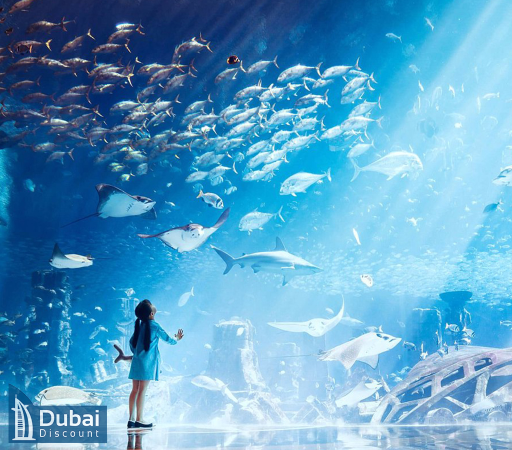 خرید و قیمت بلیط آکواریوم لاست چمبرز دبی