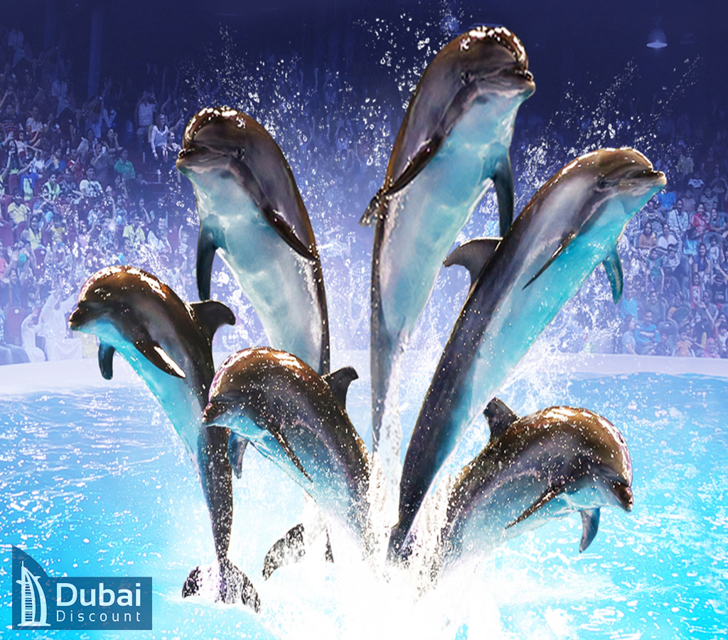 خرید تور دلفیناریوم دبی (Dubai Dolphinarium)