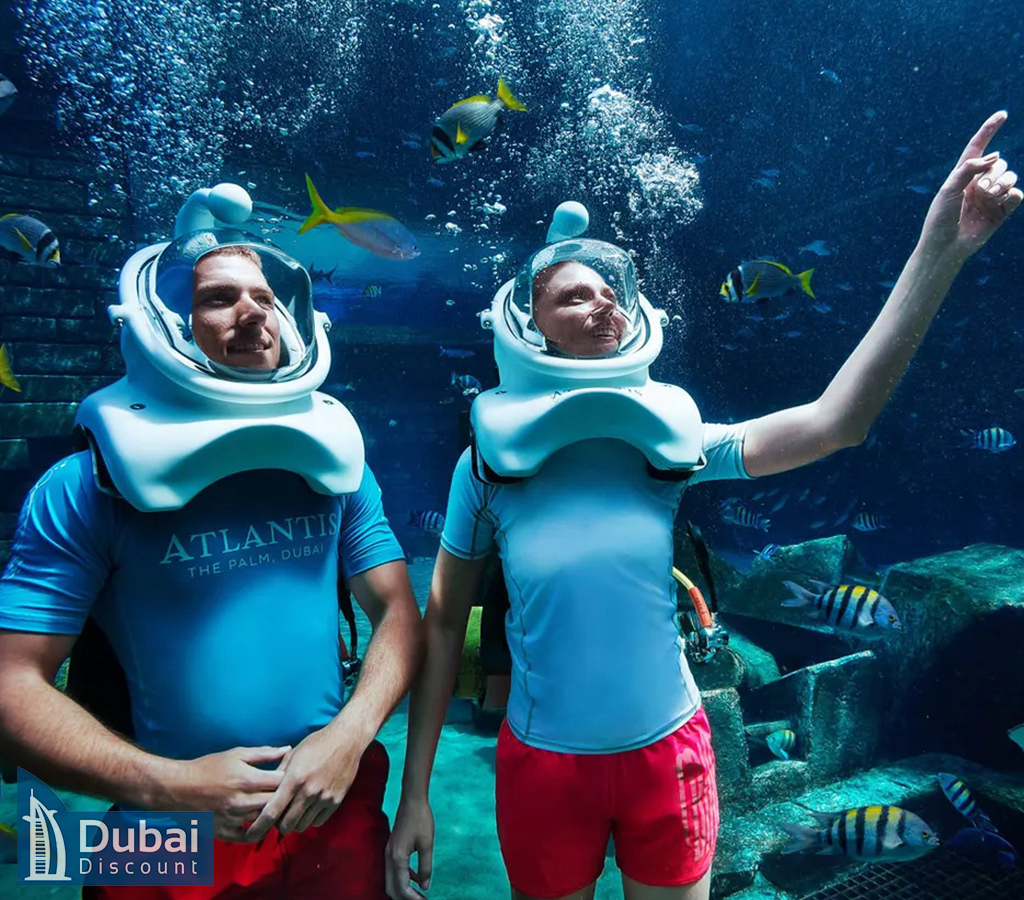 بازدید از آکواریوم لاست چمبرز