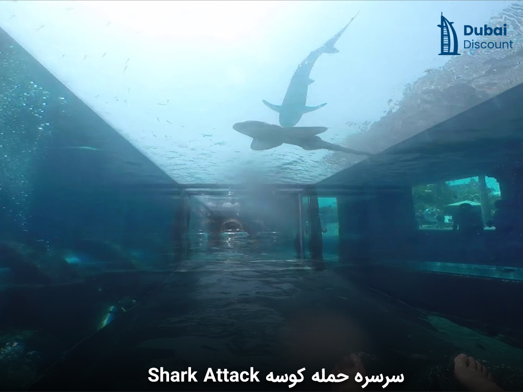 سرسره حمله کوسه Shark Attack