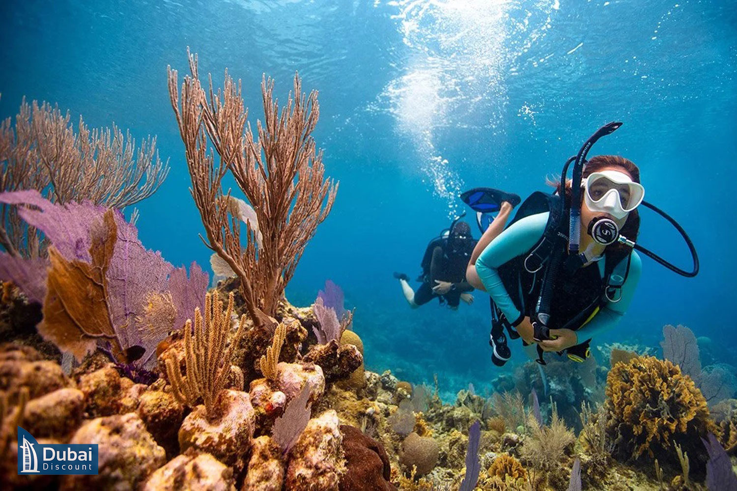 قیمت و خرید بلیط غواصی دبی