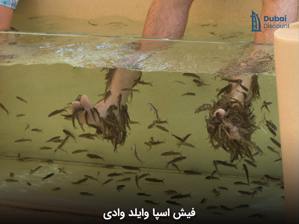 فیش اسپا وایلد وادی