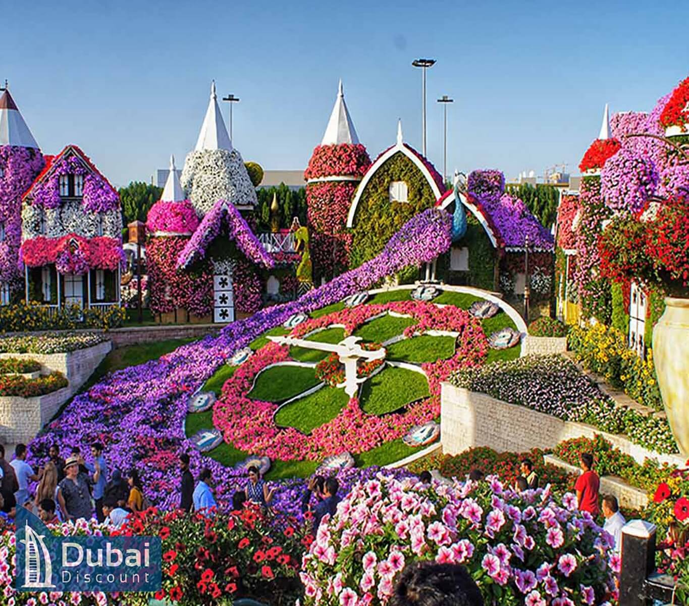 هزینه بازدید از باغ گل دبی