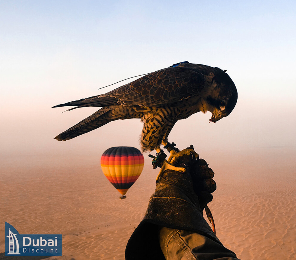 عکاسی با شاهین در بالن سواری دبی