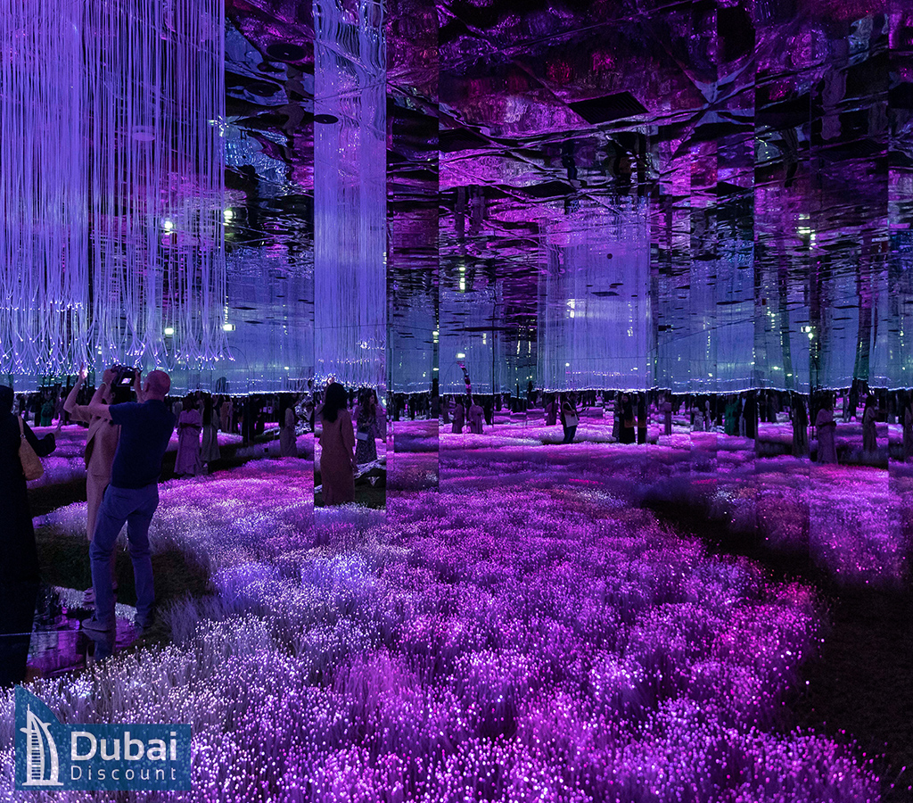 بازدید از موزه آیا دبی