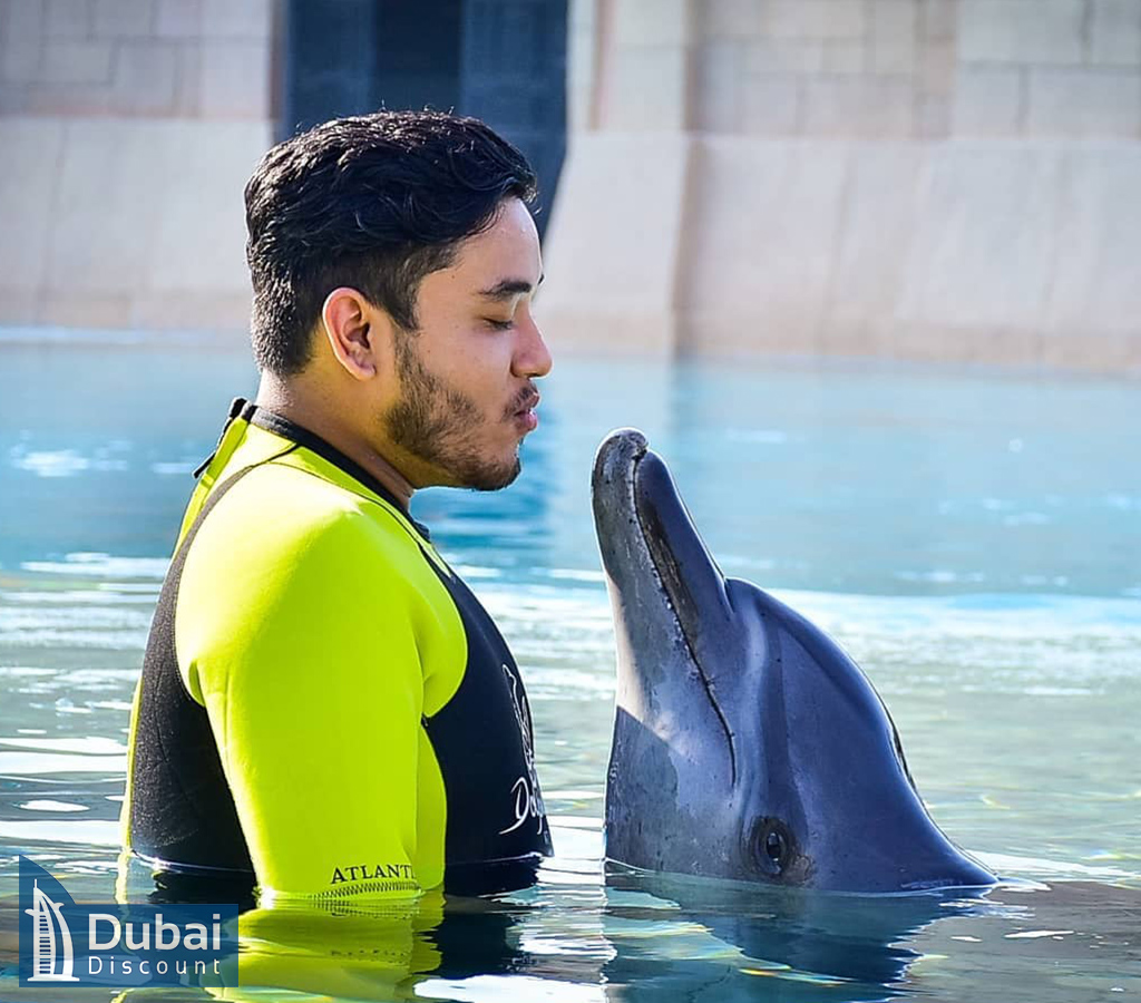 خرید بلیط خلیج دلفین در آتلانتیس دبی