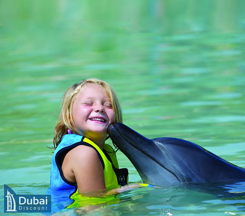 قیمت و نحوه خرید بلیط خلیج دلفین