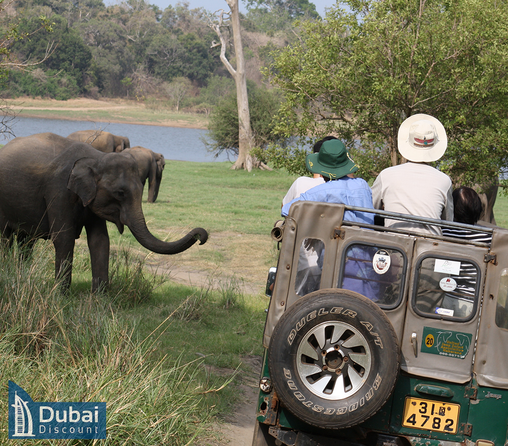 دهکده آفریقایی