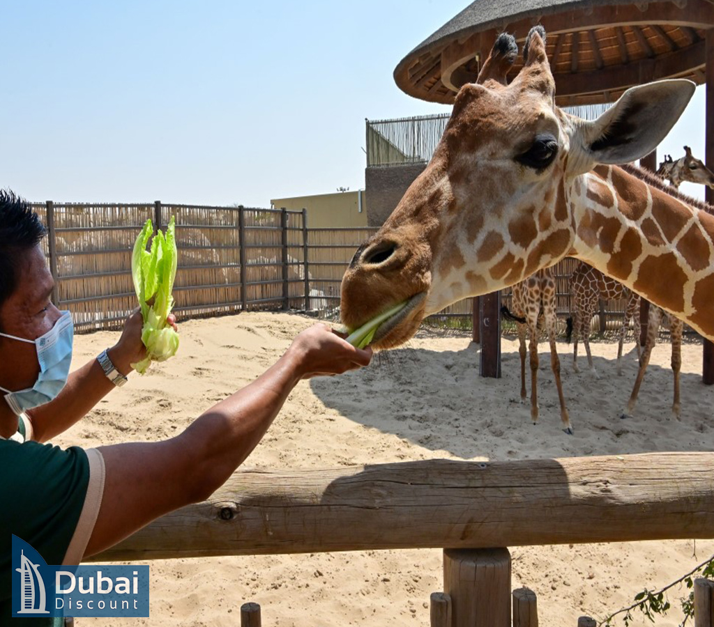 مزرعه کودکان سافاری پارک