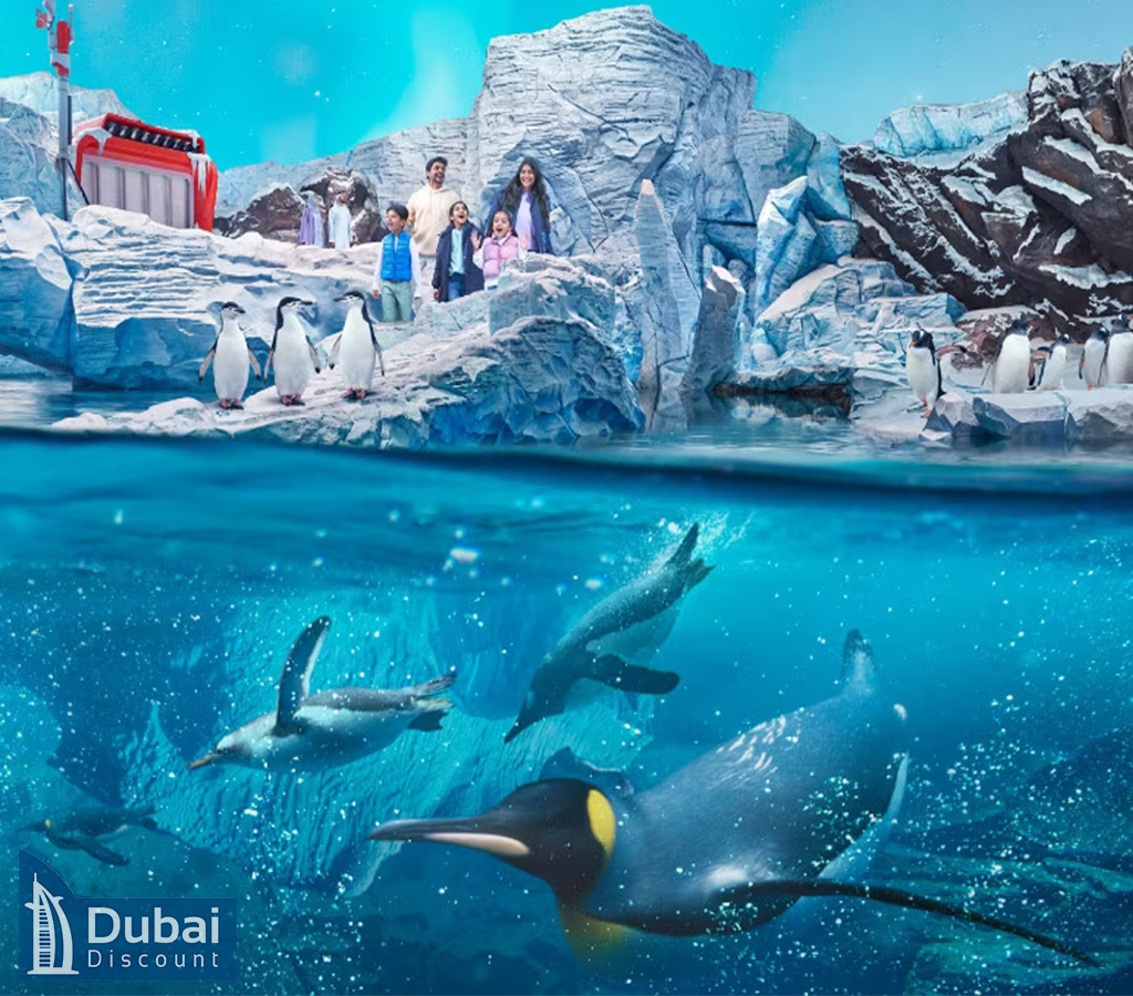 Antarctica سی ورلد-13