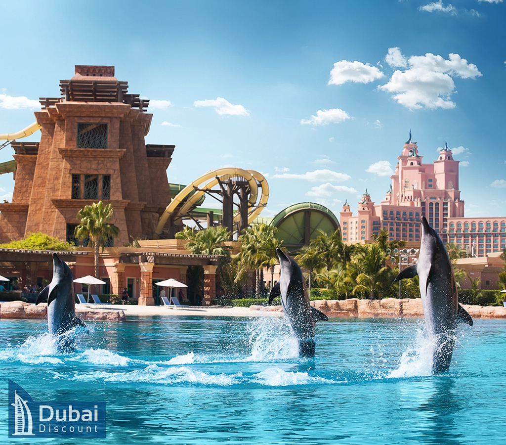 تور مرکز دلفین بی