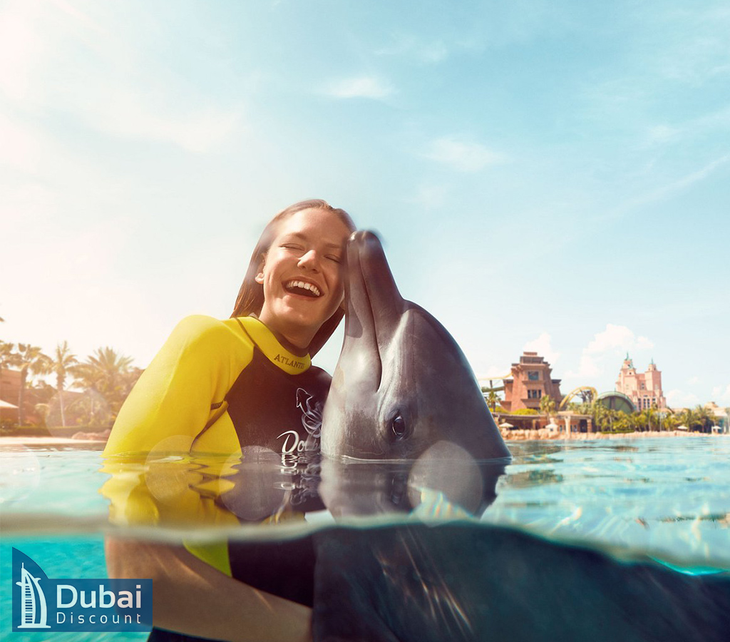 بلیط شنا با دلفین ها برای بزرگسالان