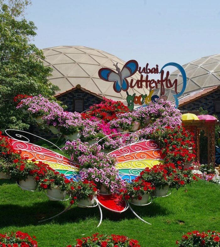 هزینه بلیط ورودی باغ پروانه ها دبی