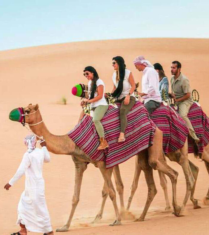 امکانات تور شتر سواری در دبی