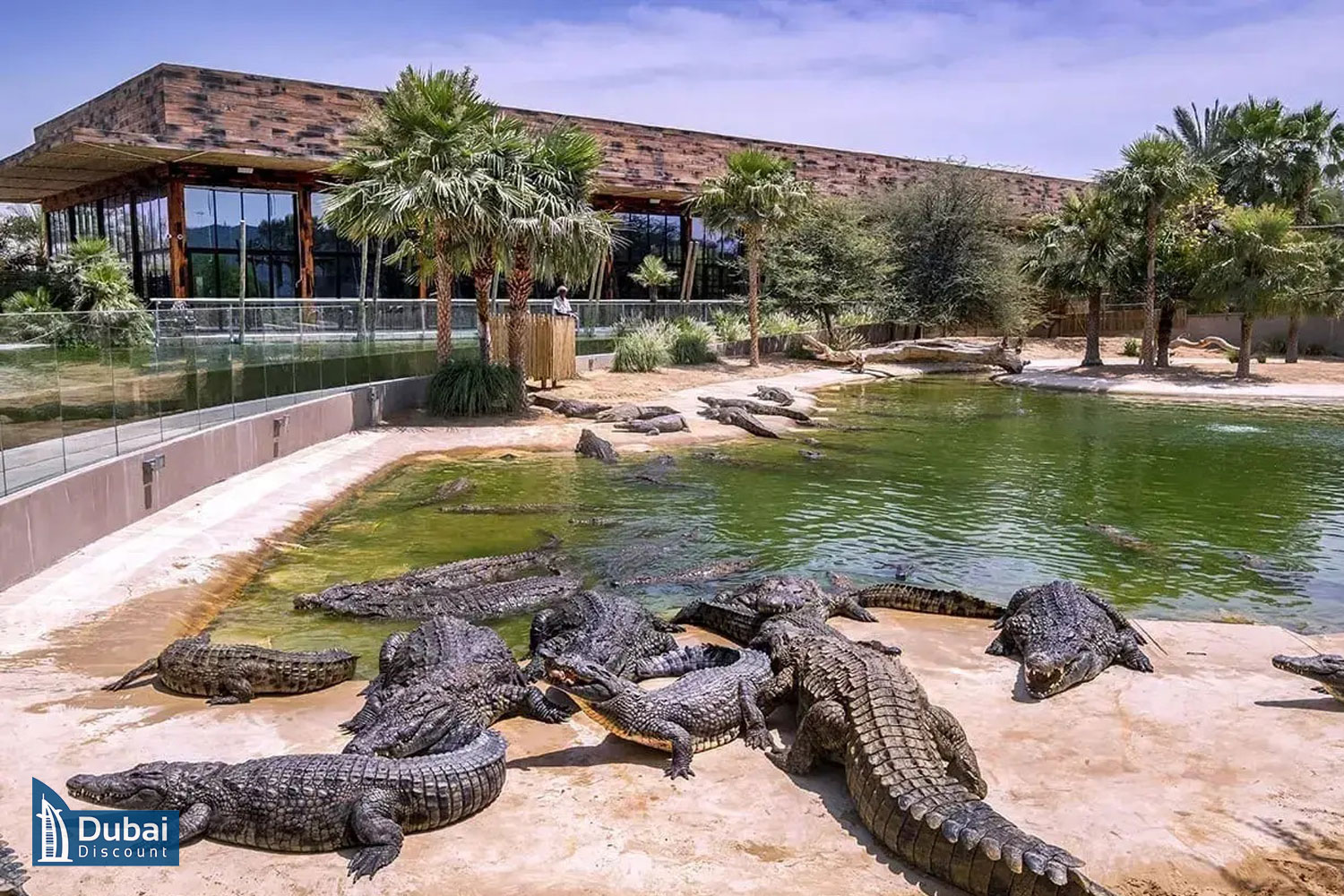 پارک کروکودیل نیل دبی