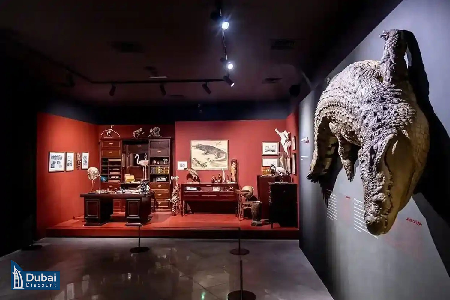موزه در پارک کروکودیل دبی