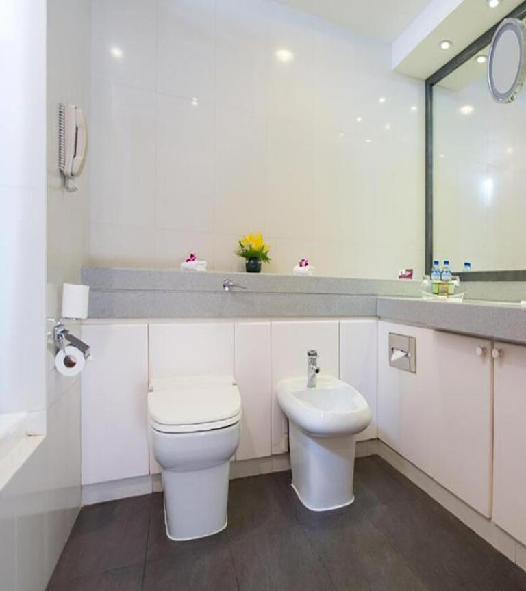 هزینه هتل میلنیوم پلازا داون تاون