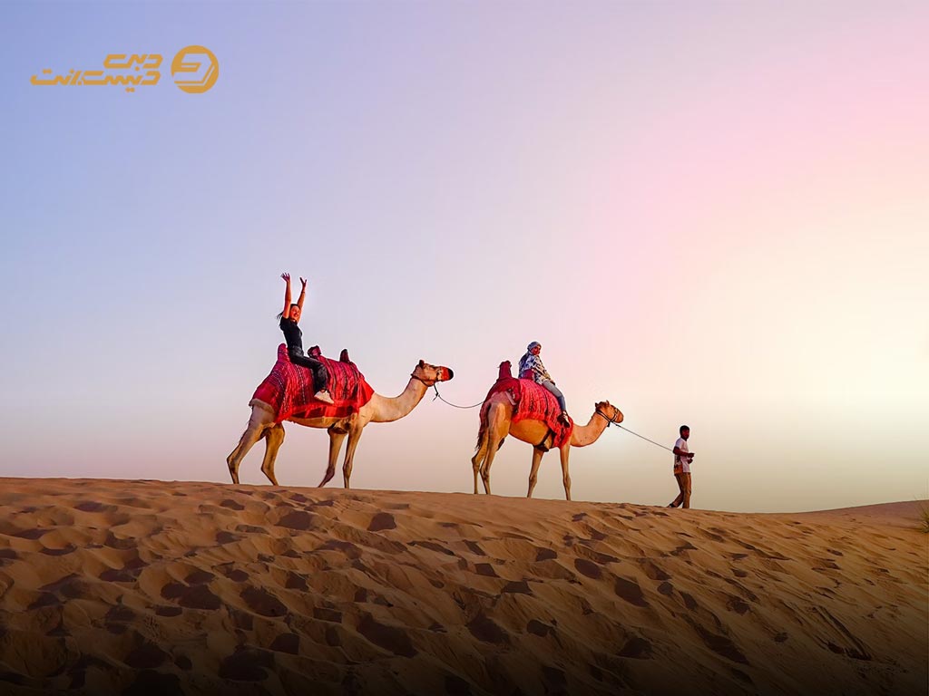 سافاری در تابستان