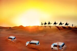 راهنمای تجربه سافاری دبی