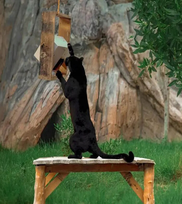 امکانات باغ وحش امارات