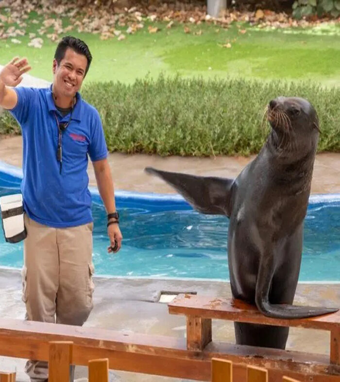 قوانین باغ وحش امارات