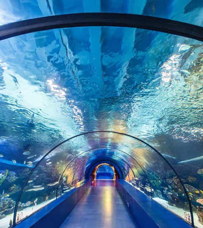 هزینه بلیط آکواریوم آنتالیا