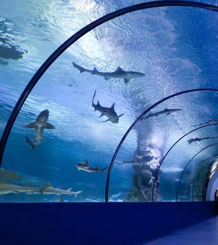 تونل آکواریوم آنتالیا