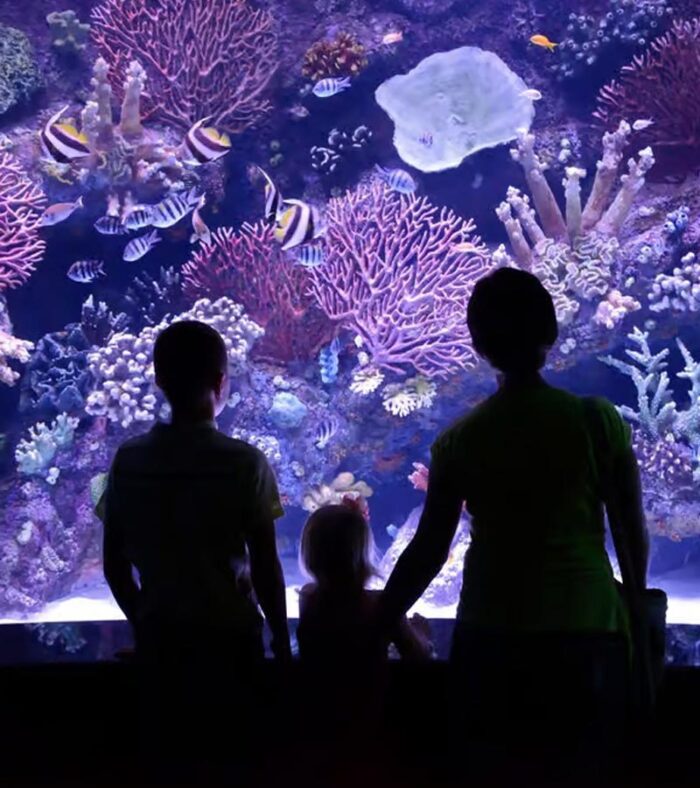 امکانات آکواریوم آنتالیا