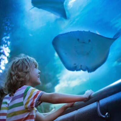 بلیط آکواریوم آنتالیا