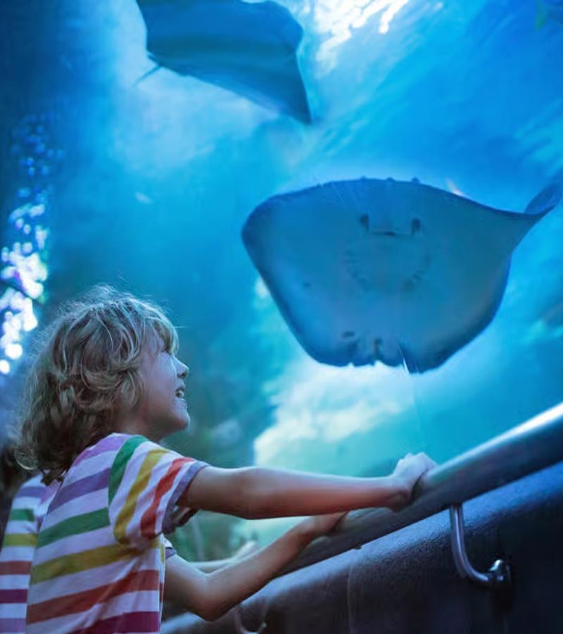 بلیط آکواریوم آنتالیا