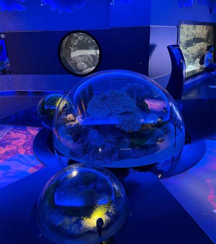 بخش‌های آکواریوم استانبول