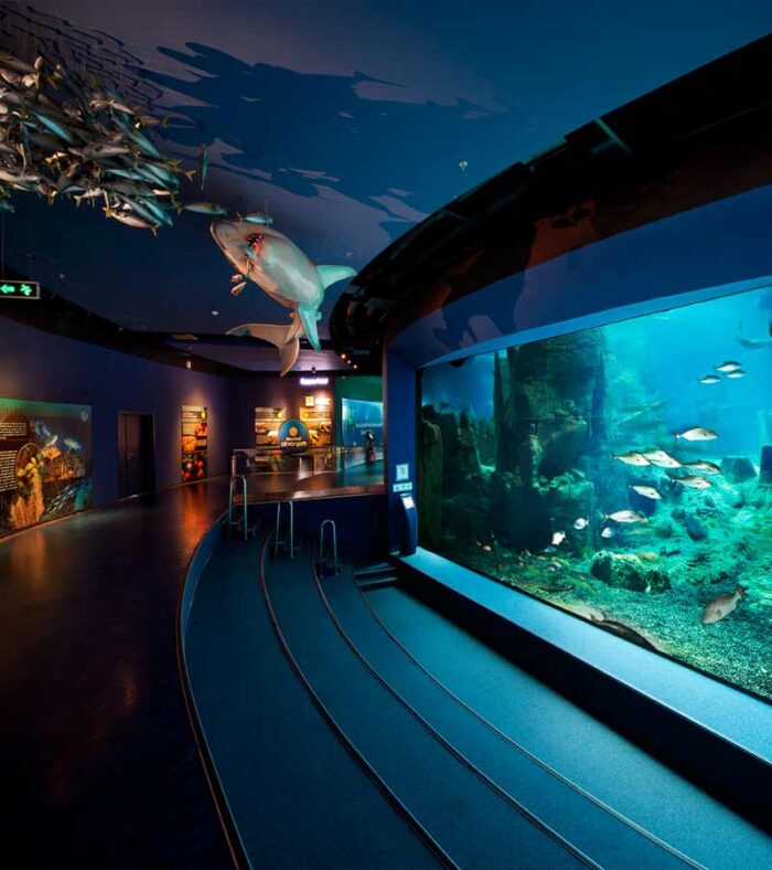 خرید بلیط آکواریوم استانبول