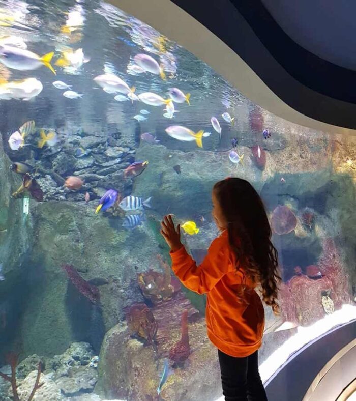 هزینه بلیط آکواریوم استانبول