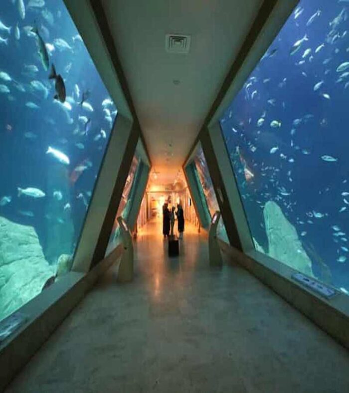 امکانات آکواریوم استانبول