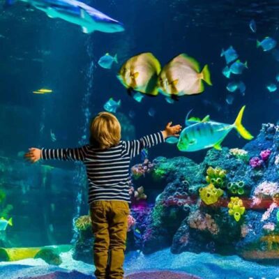 بلیط آکواریوم استانبول