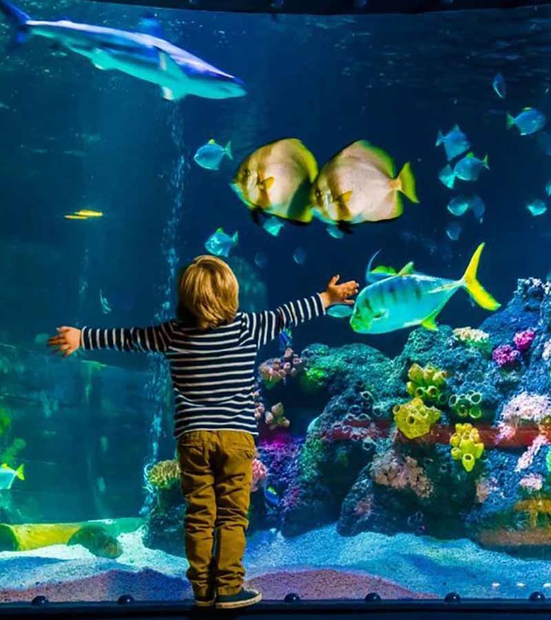 بلیط آکواریوم استانبول