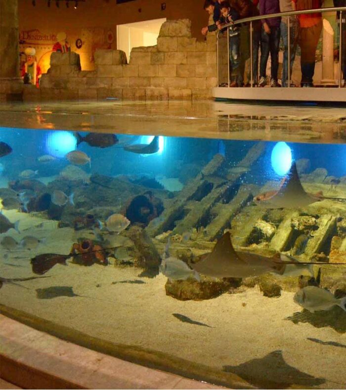 قوانین آکواریوم استانبول