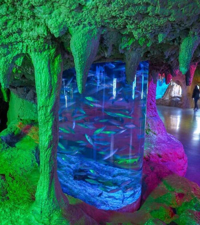 عکس آکواریوم استانبول