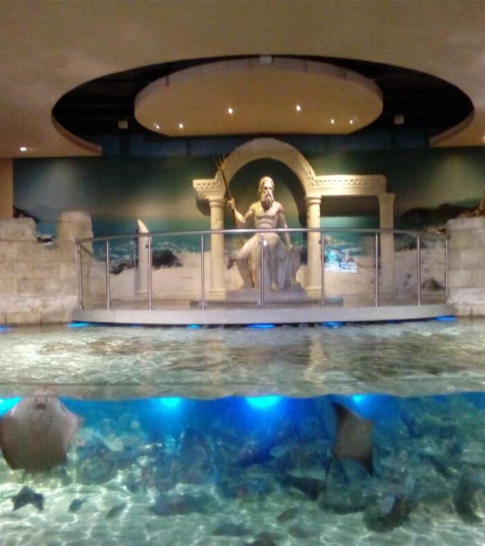 آکواریوم استانبول - فلوریا