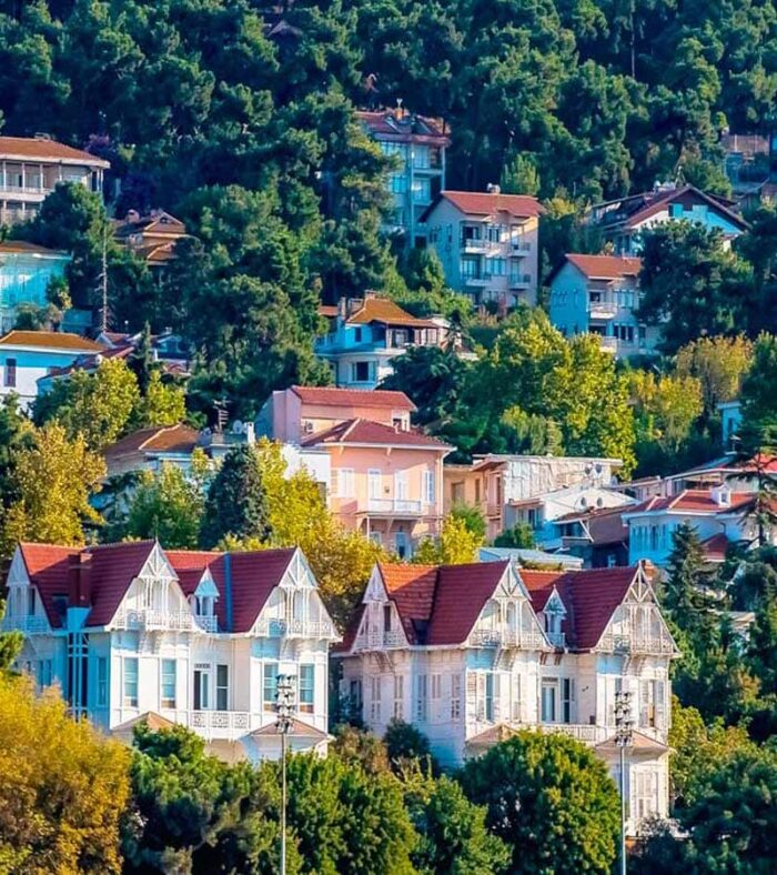 قیمت بلیط تور جزایر پرنس استانبول