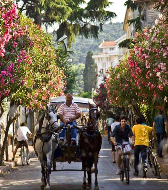 امکانات تور جزایر پرنس استانبول