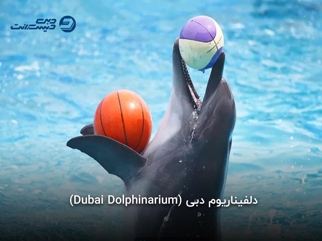 دلفیناریوم دبی