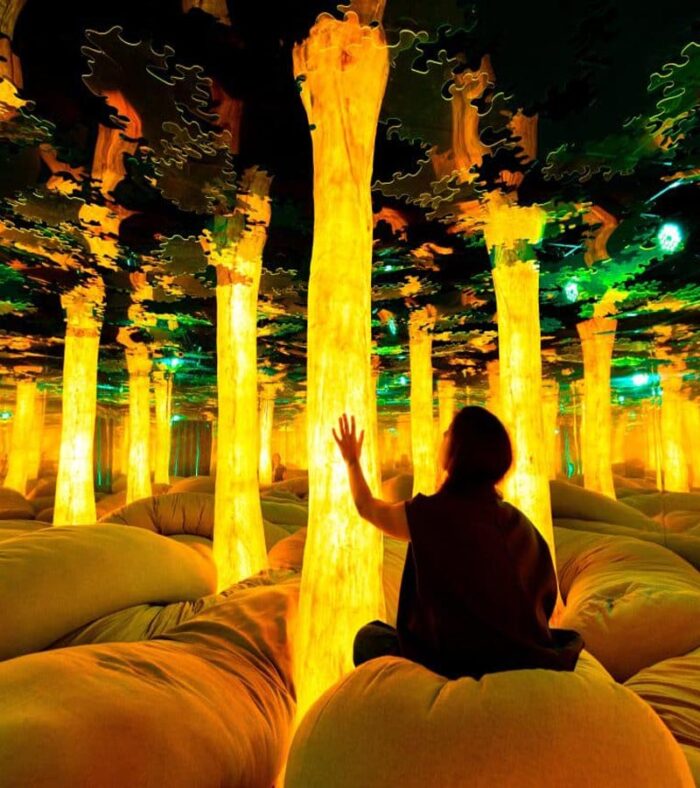 خرید بلیط دوپامین لند دبی